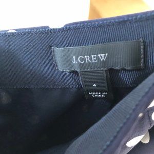 J Crew Pleated Polka Dot Skirt